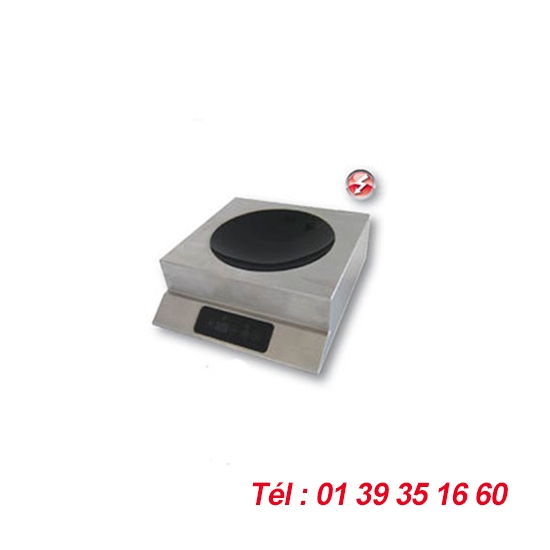 PLAQUE INDUCTION SPECIAL WOK